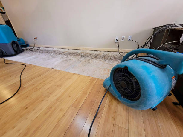 Professional Structural Drying technician working in Ponte Vedra, FL